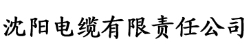 一级黄色视频无码播放电缆厂logo